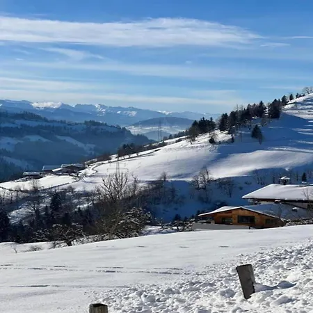 Attractive With Terrace Apartamento Wagrain